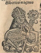 albertus-magnus